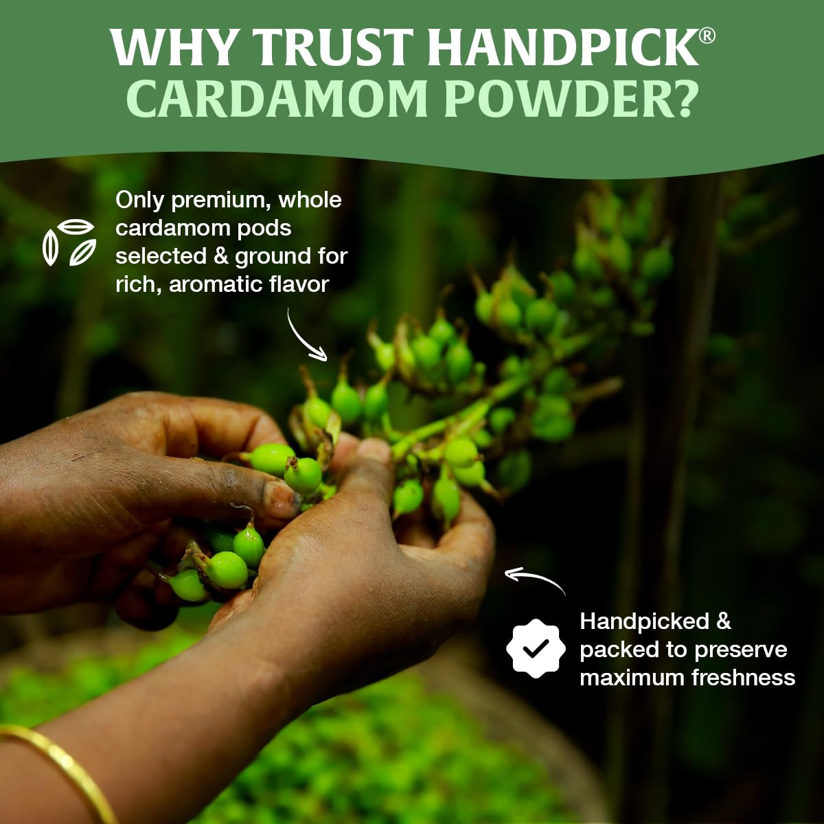 HANDPICK Cardamom powder sustainable-packaging emphasizing eco efforts.