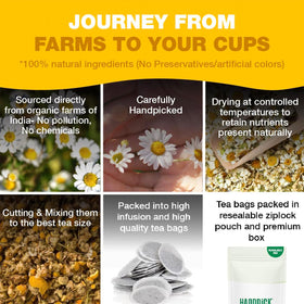 HANDPICK chamomile-tea-bags aroma steam rising from a hot cup