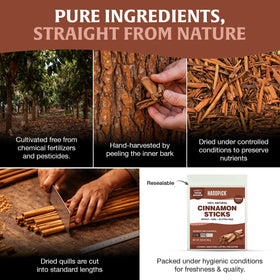 HANDPICK Cinnamon Sticks in dough for warm spice.