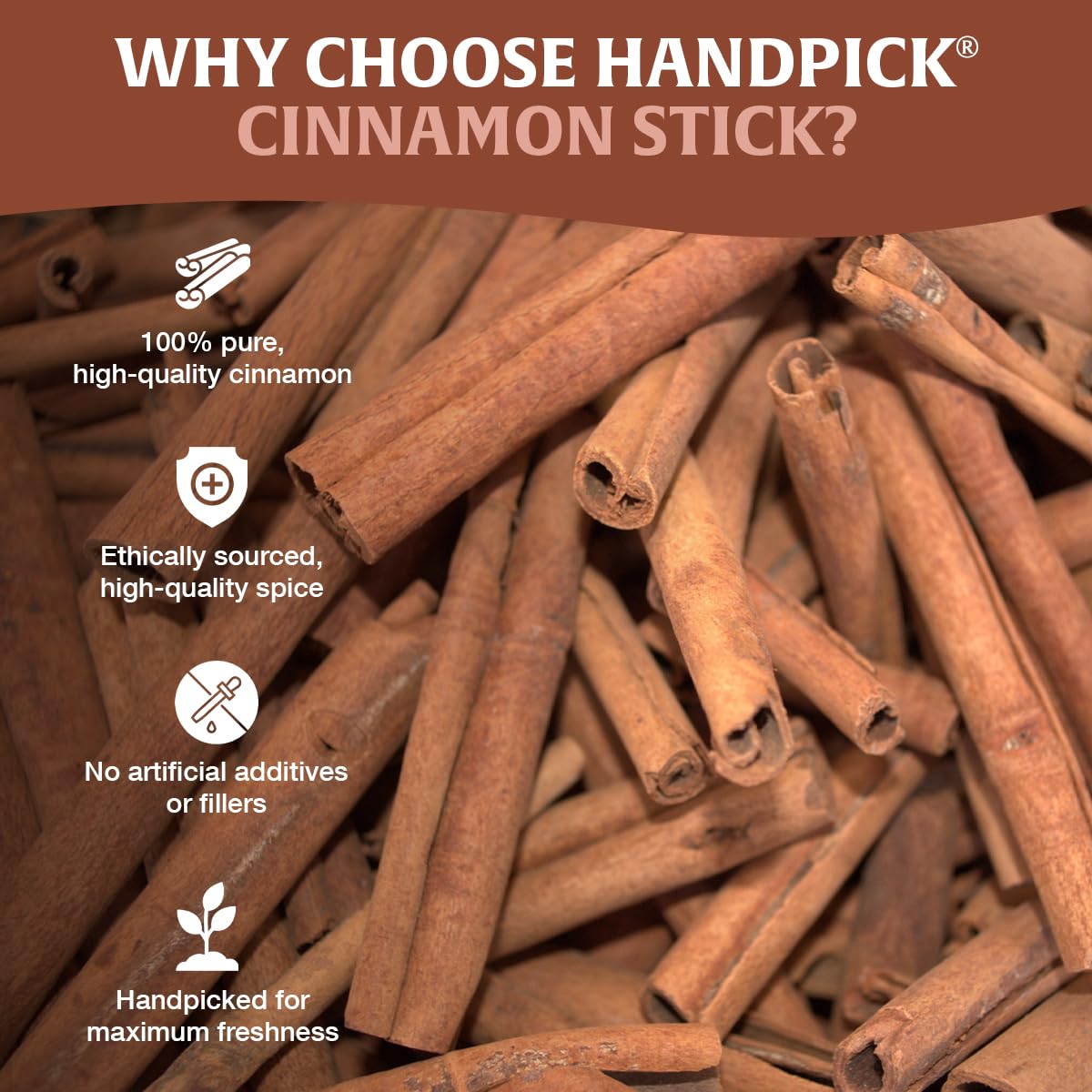 HANDPICK Cinnamon Sticks in tea cup for warm aroma.