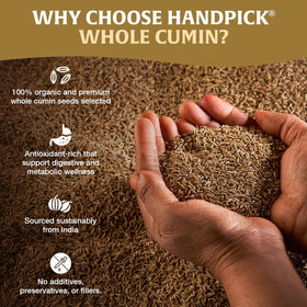 HANDPICK Cumin Seeds aromatic close-up ideal for tempering curries