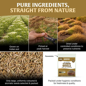 HANDPICK Cumin Seeds in a pan to enrich dishes with warmth