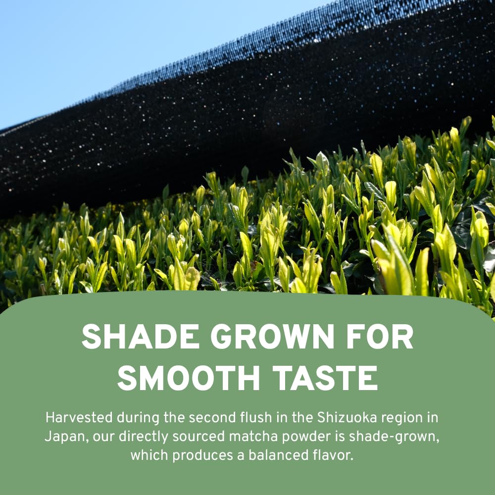 HANDPICK Cup of matcha offers a gentle lift and bright color.