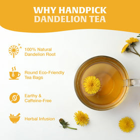 HANDPICK Dandelion Root Tea brew cup scene shows relaxing caffeine-free tisane.