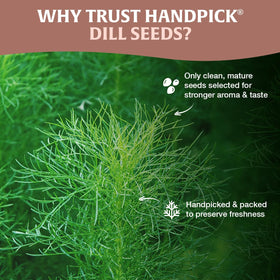 HandPICK Dill seeds pickling-jar demonstrates crisp dill taste for cucumber jars.