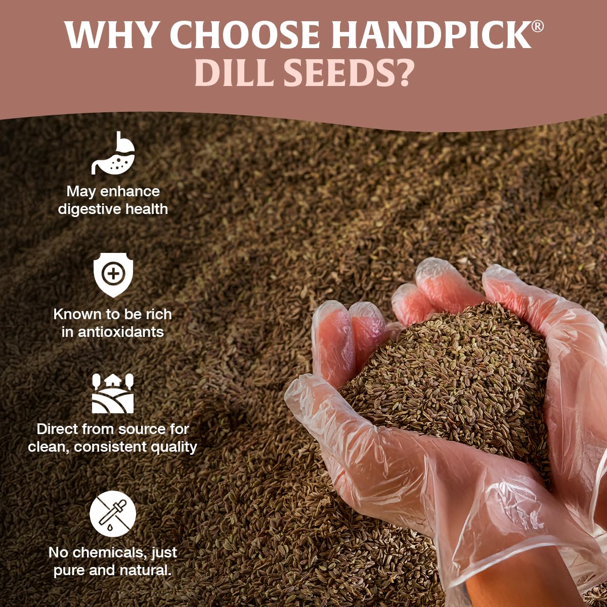 HandPICK Dill seeds spice-bottle-setup adds aroma to marinades and dressings.