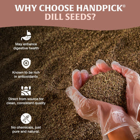 HandPICK Dill seeds spice-bottle-setup adds aroma to marinades and dressings.