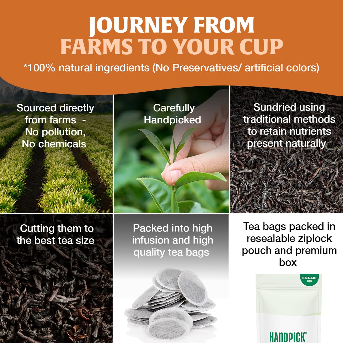 Hot brew of HANDPICK Earl Grey tea bags revealing a rich amber cup.