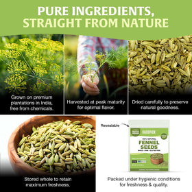 HANDPICK fennel seeds spice bottle display for pantry organization.