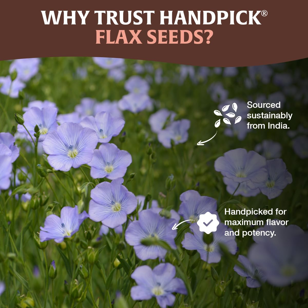 HANDPICK flax seeds origin in India indicating ethical sourcing.