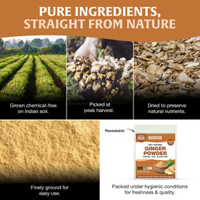 HANDPICK Ginger Powder jar closeup highlights fine texture for even distribution.