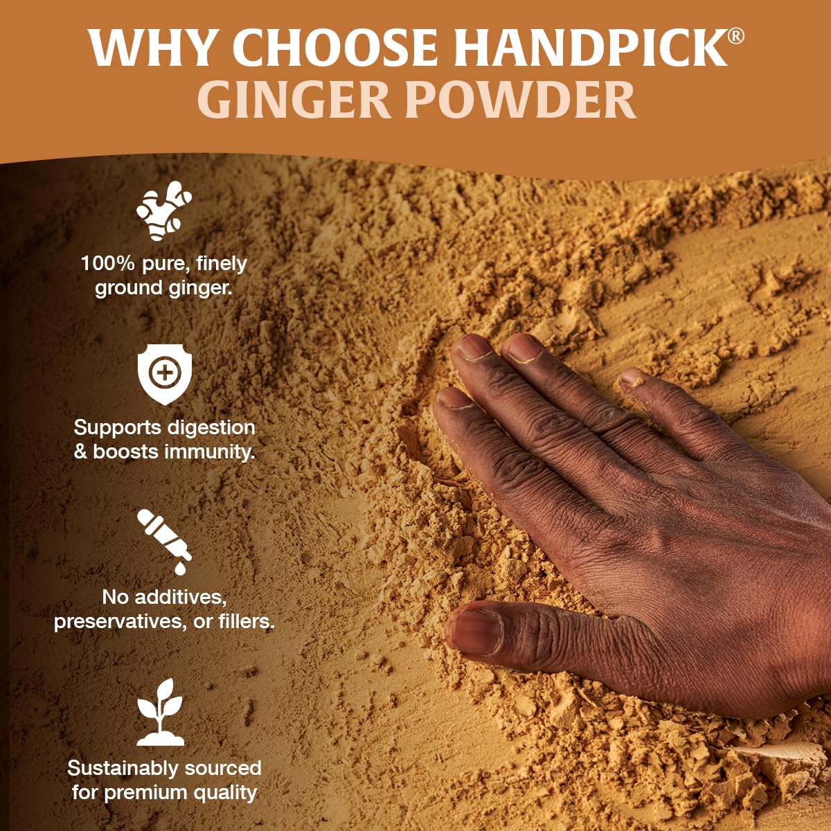 HANDPICK Ginger Powder scoop ready for adding aroma to beverages and dishes.