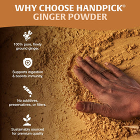 HANDPICK Ginger Powder scoop ready for adding aroma to beverages and dishes.