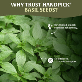 HANDPICK gluten-free packaging close-up highlights purity.