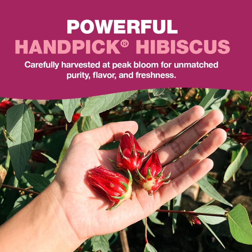 HANDPICK hibiscus tea bags steeping in hot cup for refreshing aroma