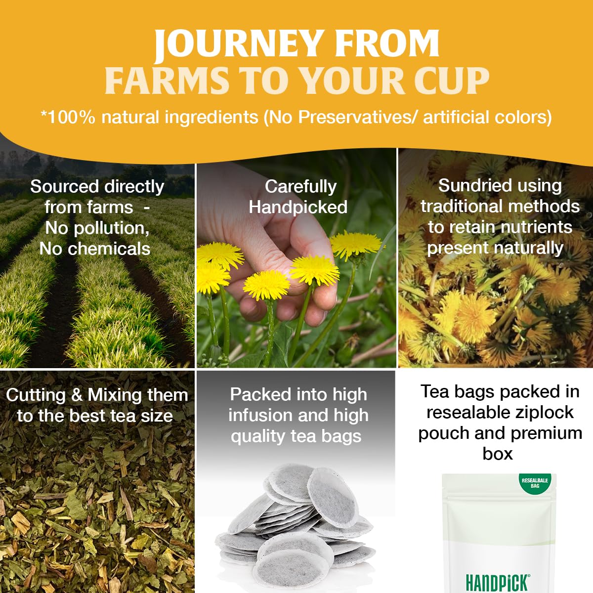HANDPICK Indian plantations image signifies premium sourcing and careful harvest.