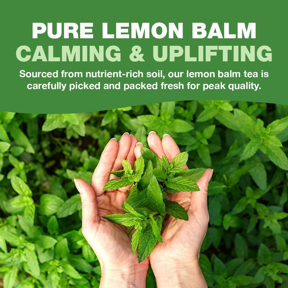 HANDPICK Lemon Balm Tea cup-steeped with citrus aroma filling the air