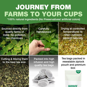HANDPICK Lemon Balm Tea packaging with recycling symbols for sustainability