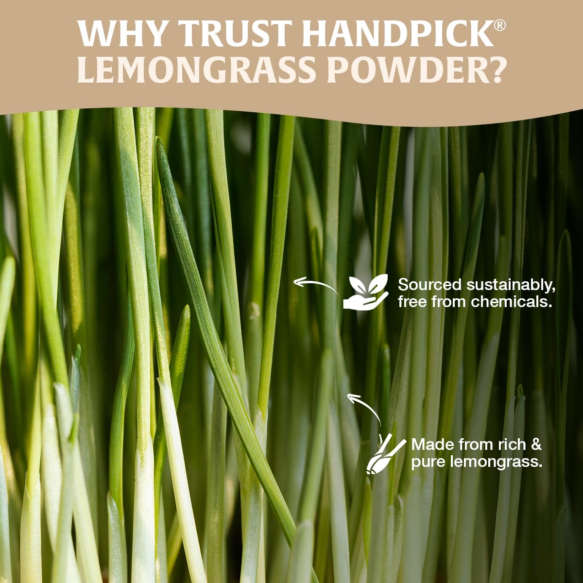 HANDPICK lemongrass powder tea steeping with citrus notes