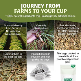 HANDPICK Lemongrass Tea Bags hot brew setup ready for a refreshing cup.