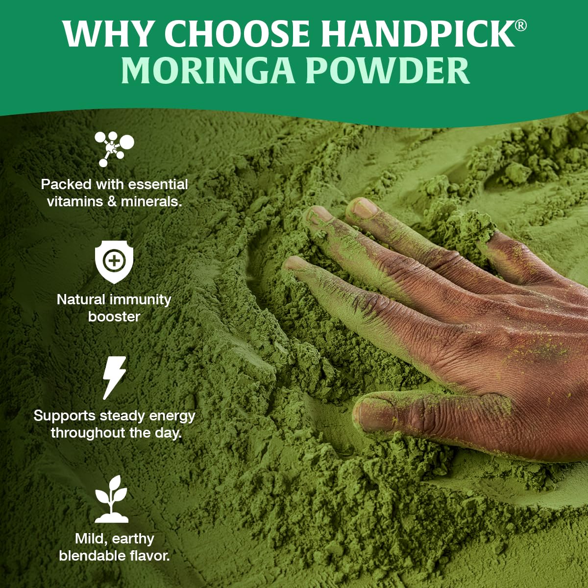 HANDPICK Moringa Powder spoon pour demonstrates easy addition to drinks
