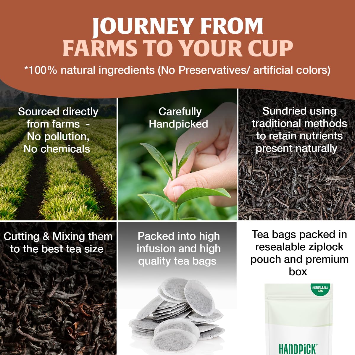 HANDPICK organic Indian tea leaves from high-elevation plantations