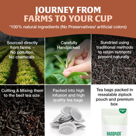 HANDPICK organic Indian tea leaves from high-elevation plantations