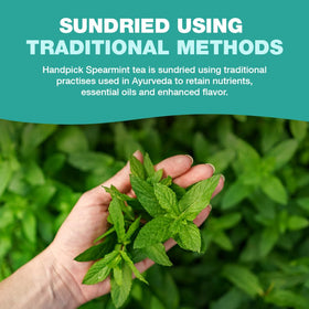 HANDPICK Spearmint tea in cup, steeping for a revitalizing sip.