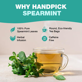 HANDPICK Spearmint aroma close-up signaling bright, refreshing scent.