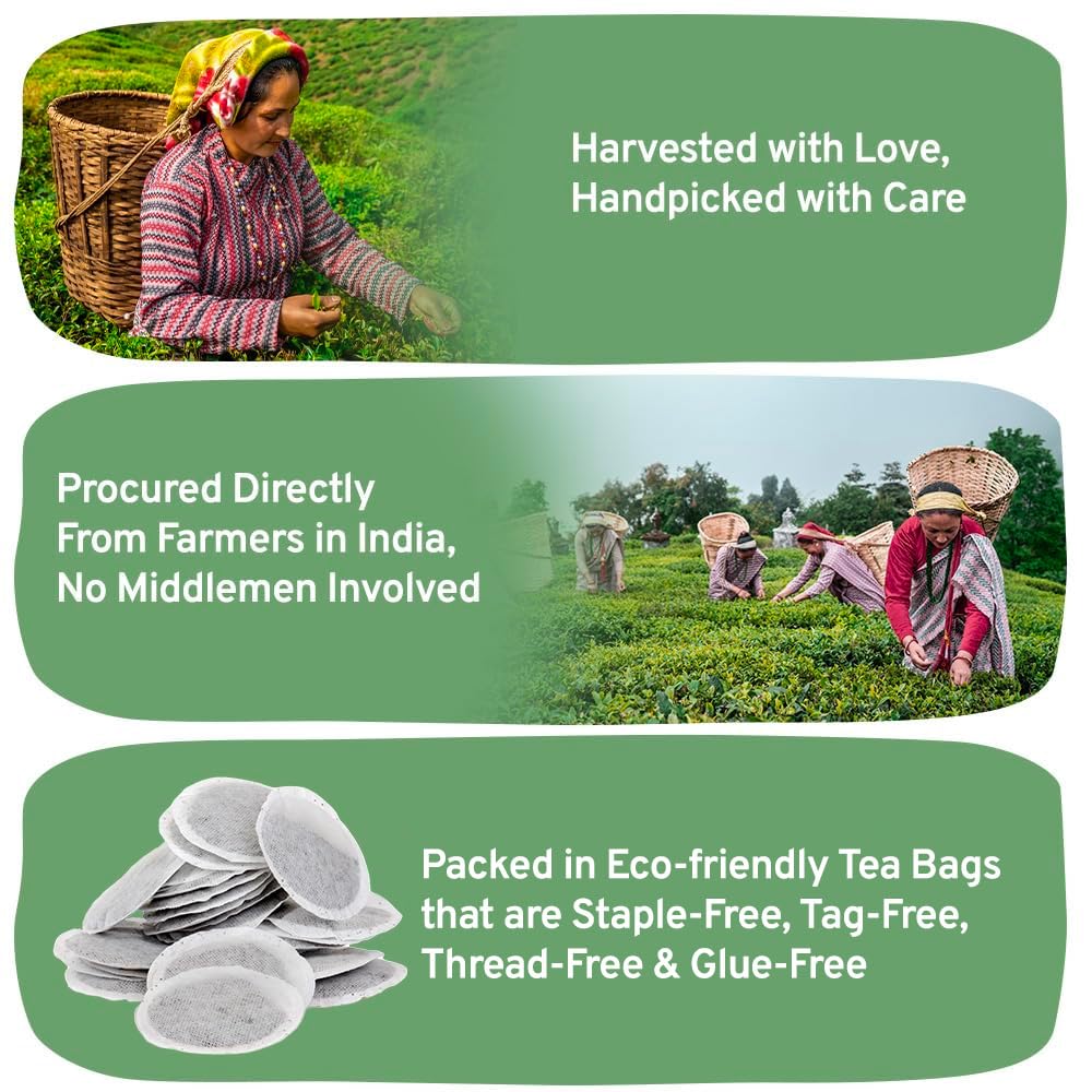 HANDPICK tea plantations in India glow through a distant landscape highlight sourcing origin.