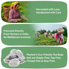 HANDPICK tea plantations in India glow through a distant landscape highlight sourcing origin.