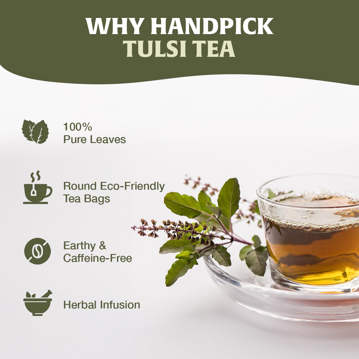 HANDPICK Tulsi tea leaves offer a fresh evergreen aroma in the cup.