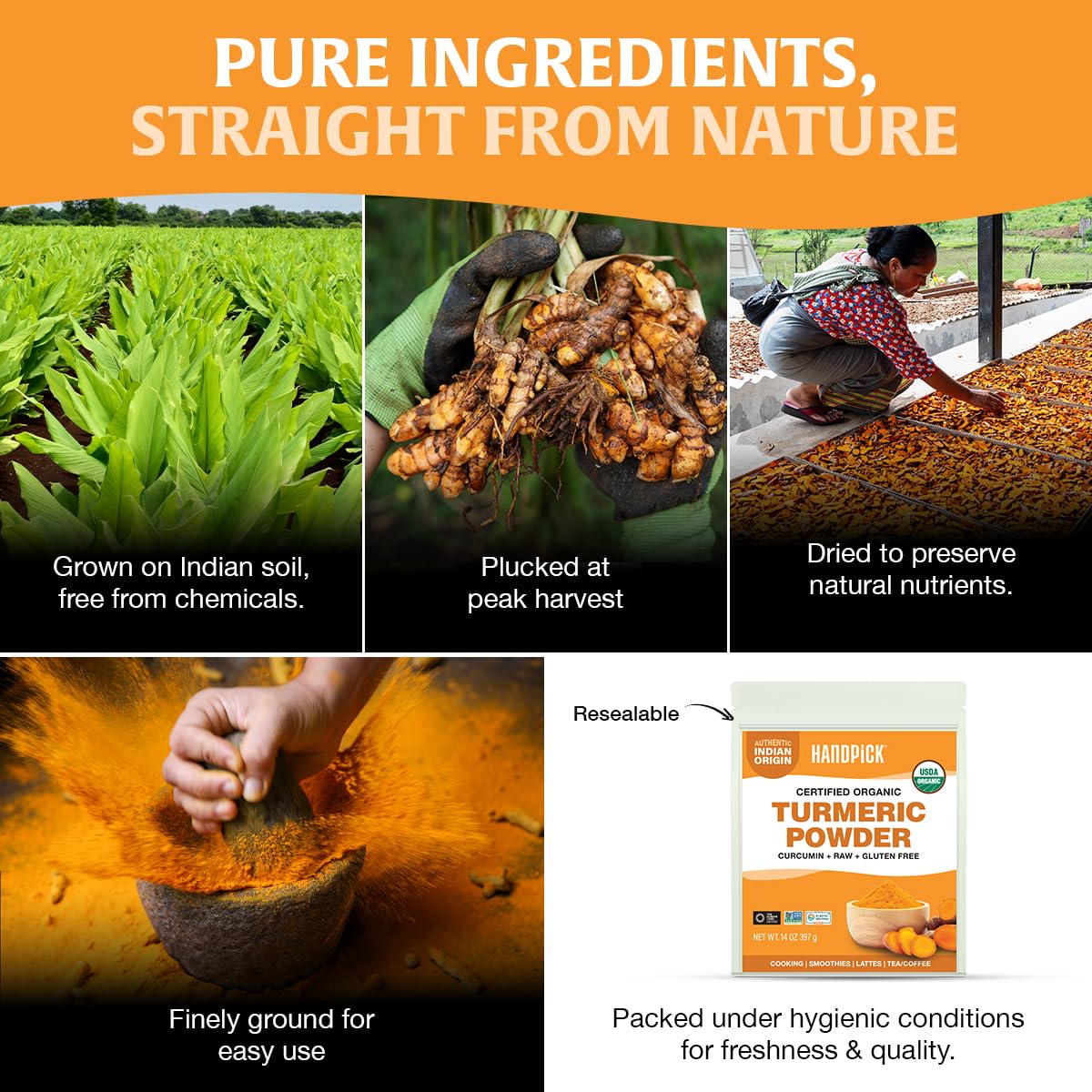 HANDPICK turmeric powder bottle label, signaling gluten-free and non-GMO quality.