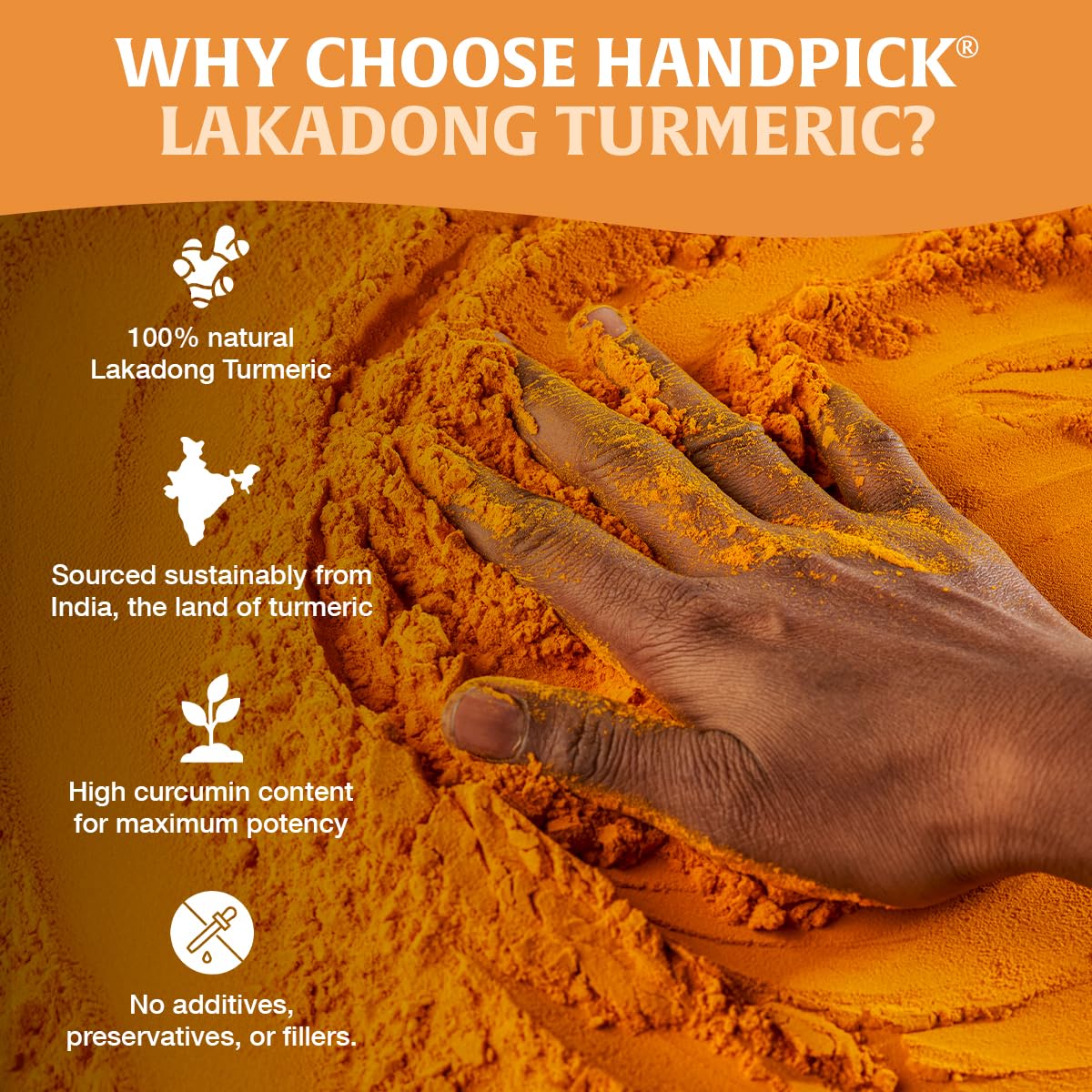 HANDPICK turmeric powder adding color and depth to meals
