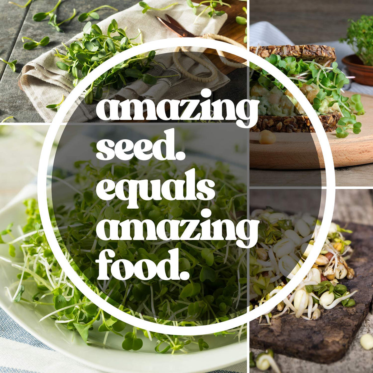 Handy Pantry microbial-tested seeds promote clean, safe sprouting experiments