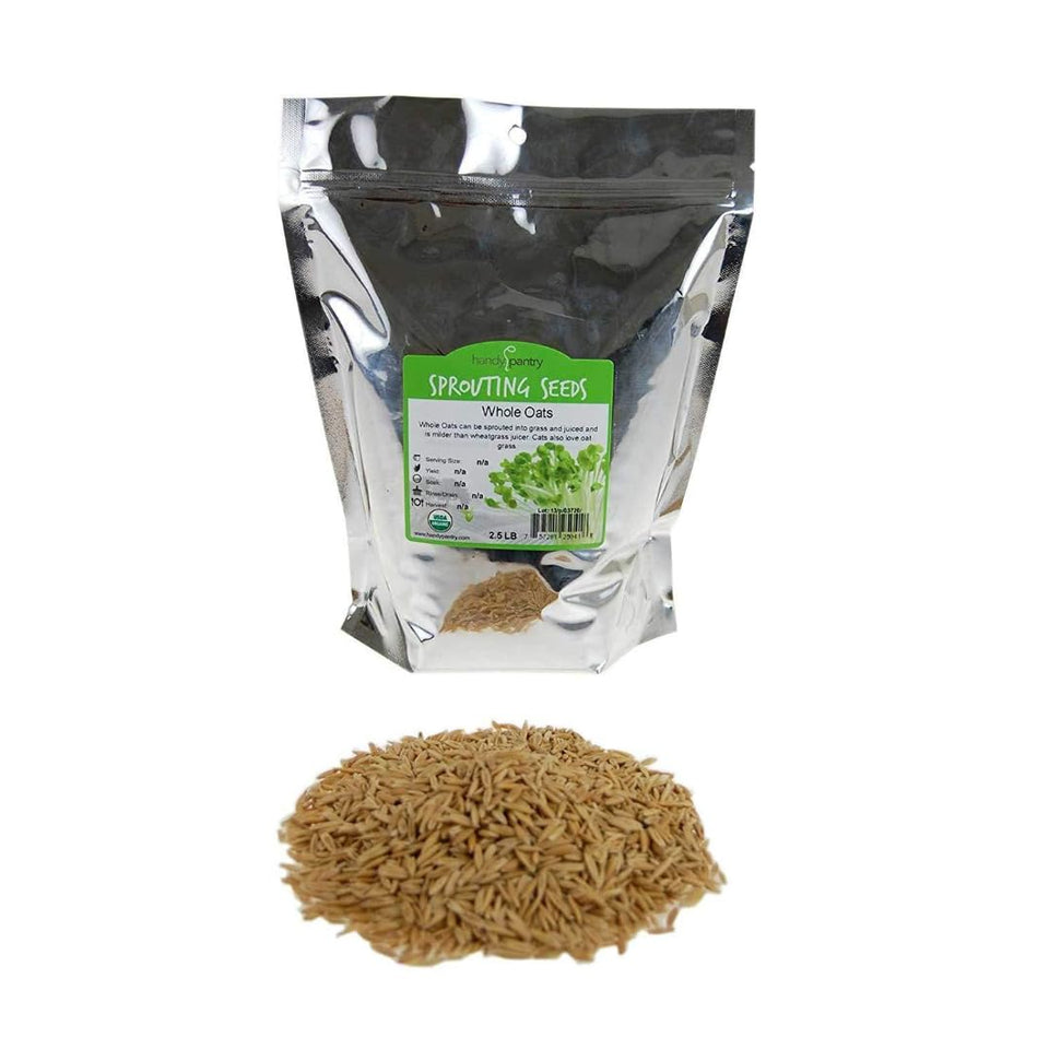 Handy Pantry oat seeds for sprouting with high germination and crisp oat grass outcomes.