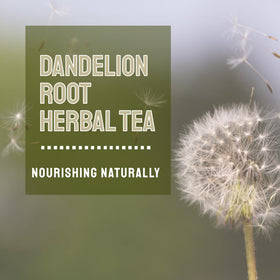 HANFANGLING gift-box with dandelion burdock tea for tea lovers.