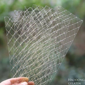 HAODONG clear gelatin sheets for cheesecakes, jellies, and soft candies.