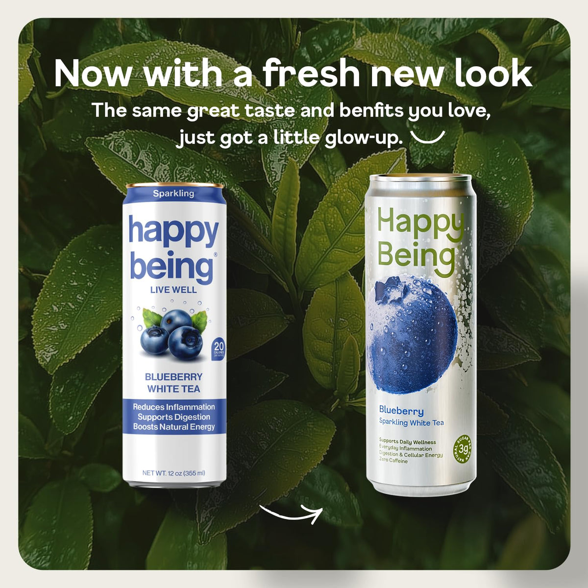 Happy Being Blueberry Sparkling White Tea glass pour capturing a light, caffeine-free experience