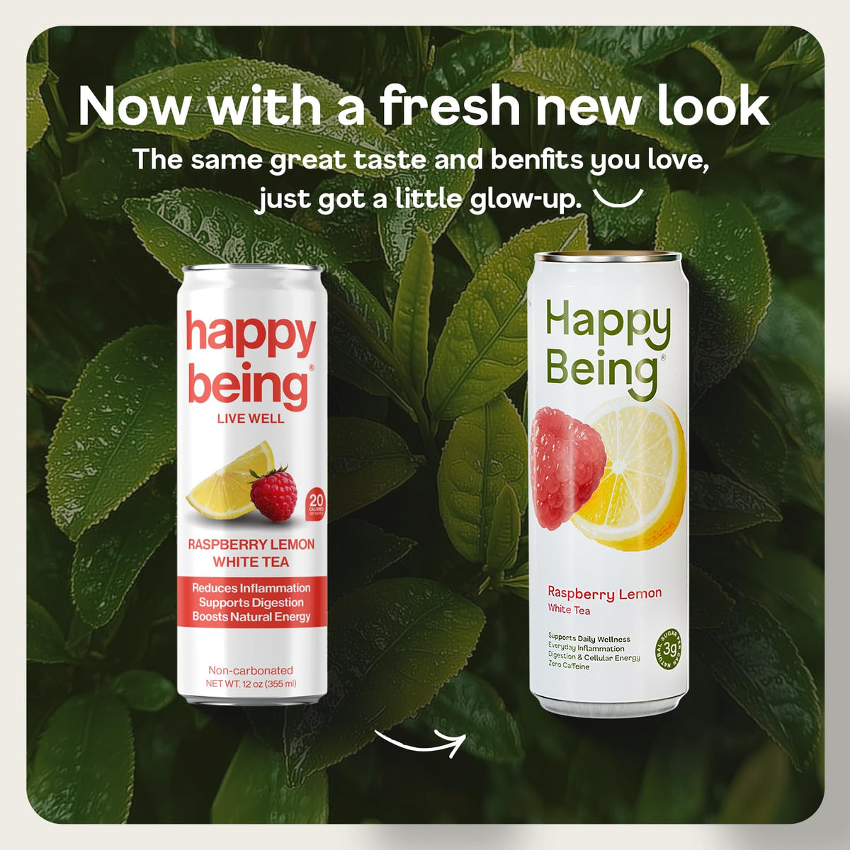 Chilled glass of Happy Being Raspberry Lemon Sparkling White Tea, low sugar and calories.