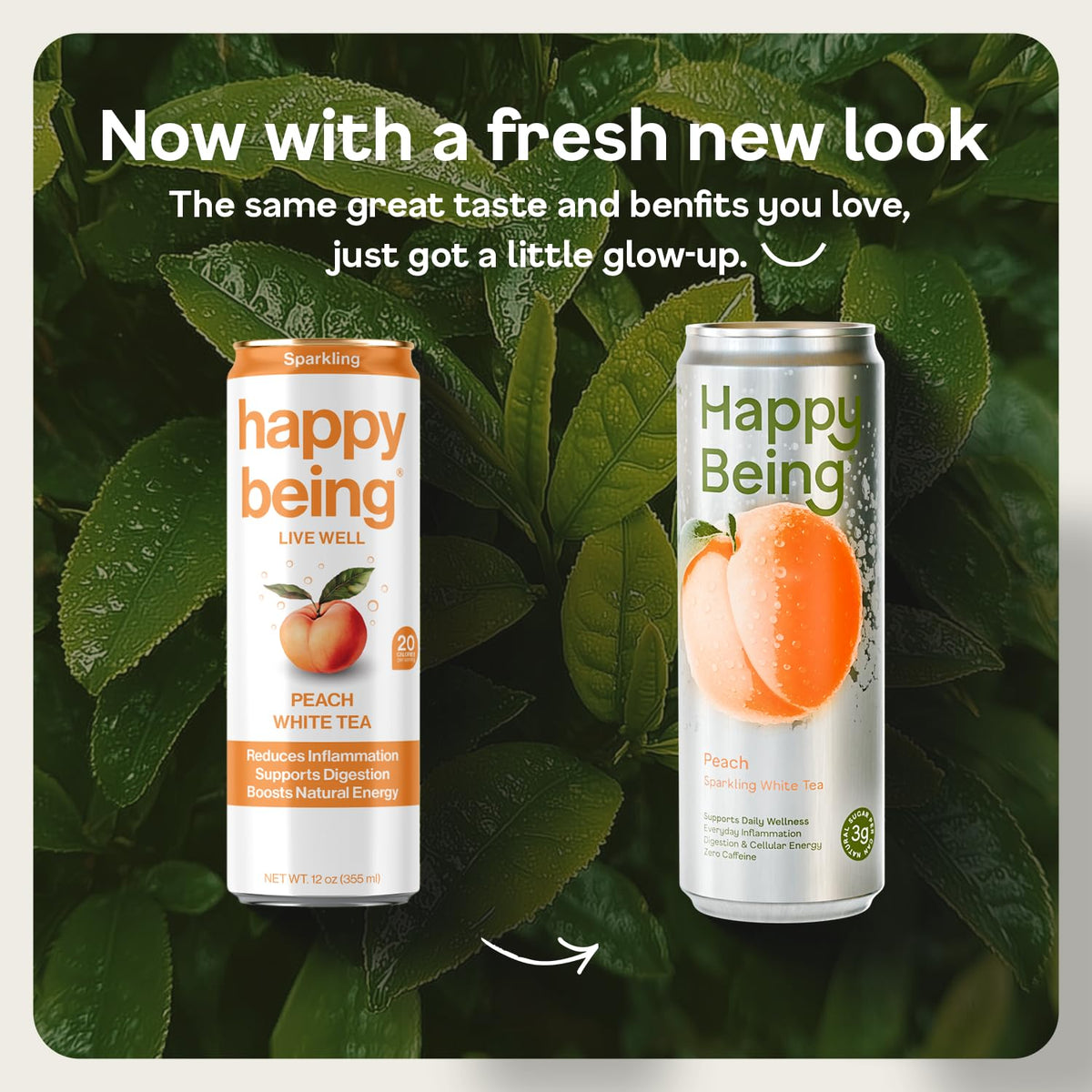 Happy Being White Tea Sparkling Peach bottle delivers bright aroma