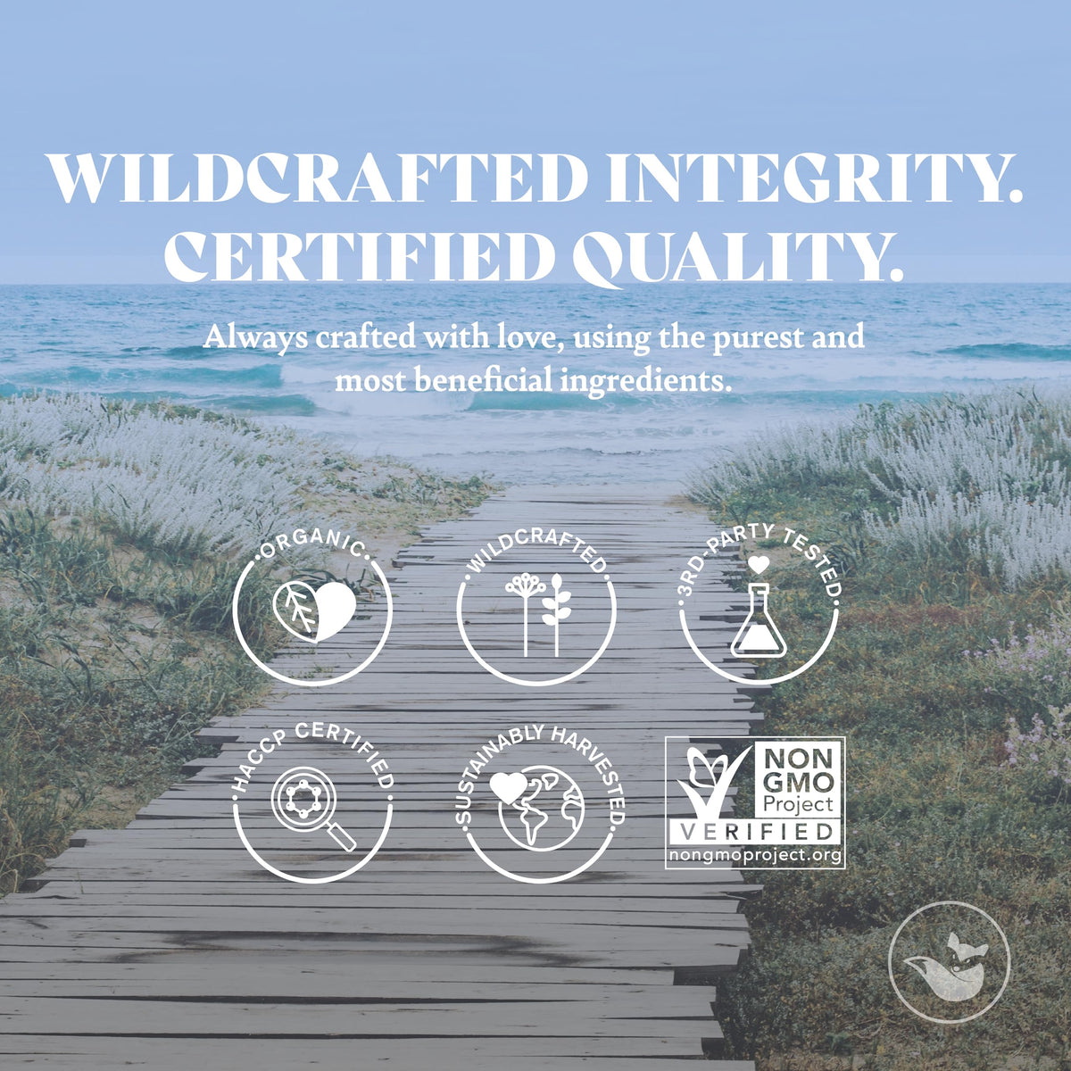 Happy Fox Non-GMO sea moss with HACCP-certified processing.
