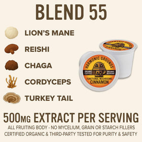 Harmonic Grounds Lion's Mane and other mushrooms close-up highlighting a balanced, flavorful brew