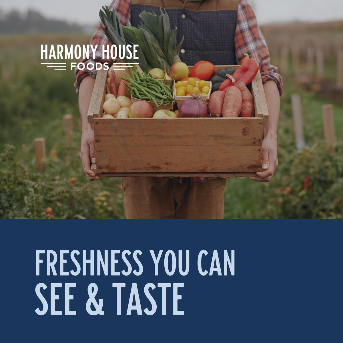 Harmony House award-winning brand seal communicates trusted quality