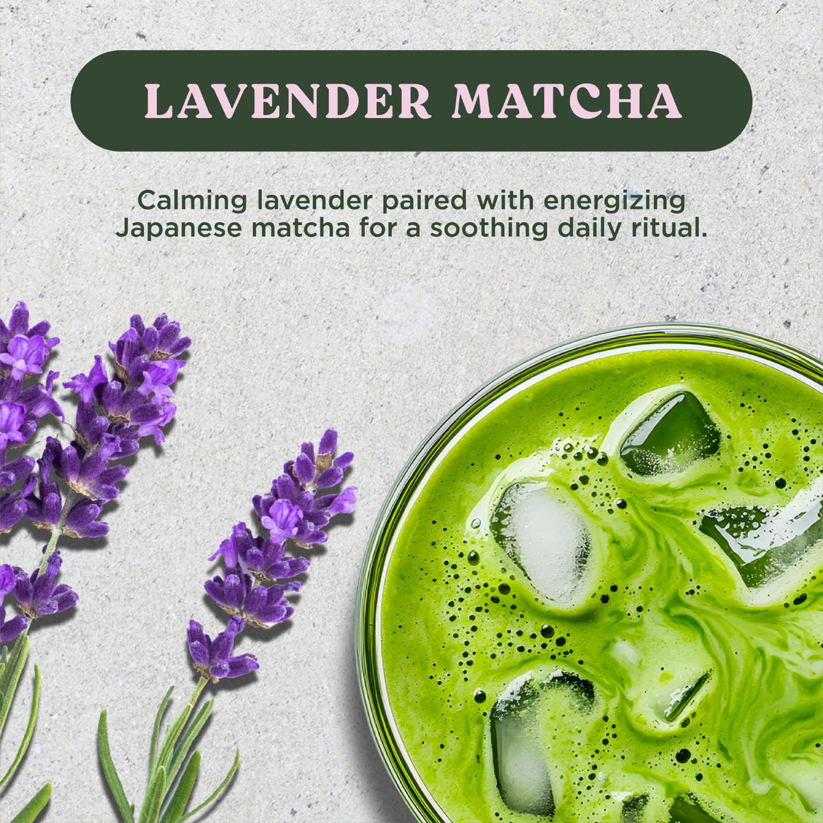 Harmony Proteins The Harmony Matcha Lavender matcha bowl for traditional whisking.
