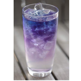 Harney & Sons Butterfly Pea Flower Tea hot or iced, versatile herbal beverage.