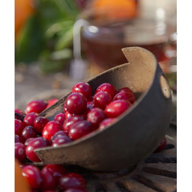 Harney & Sons Cranberry Autumn packaging tin with label and details
