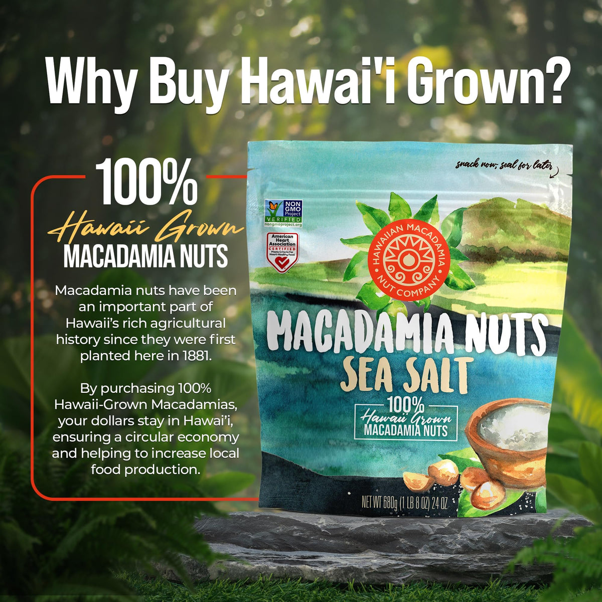 Hawaiian Macadamia Nut Company bulk 24oz resealable pack keeps nuts fresh and ready for sharing