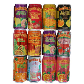 Hawaiian Sun 12-flavor juice collection on table for poolside refreshment.