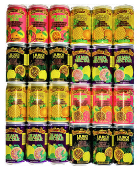 Hawaiian Sun 24-pack tropical drink sampler on display for gatherings.